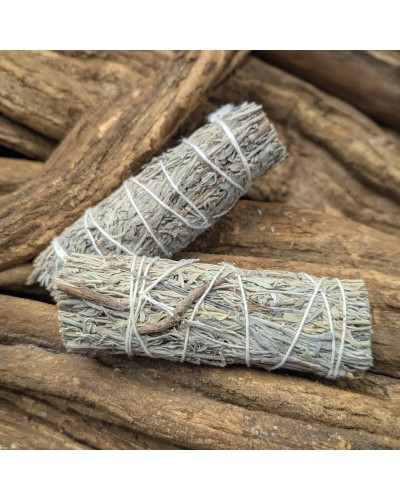 Blue Sage - 2 Smudge Sticks