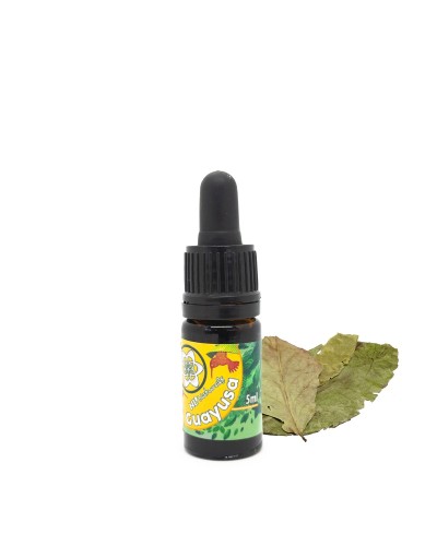 Guayusa - Liquid Extract