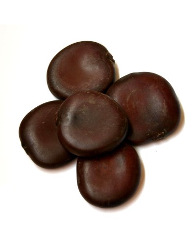 Entada Rheedii - African Dream Herb 50x Extract