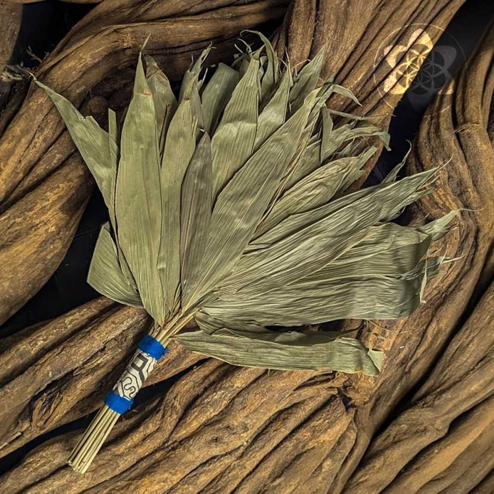 Chakapas - Large with Shipibo design