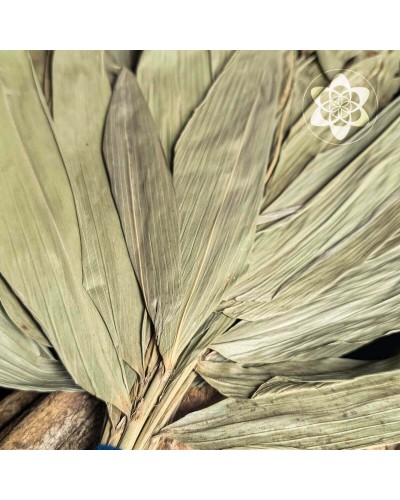 Chakapas - Large with Shipibo design