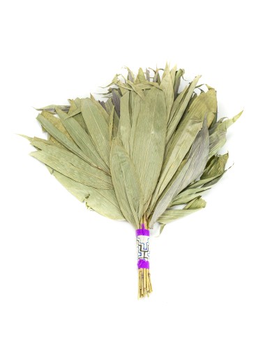 Chakapas - Large with Shipibo design