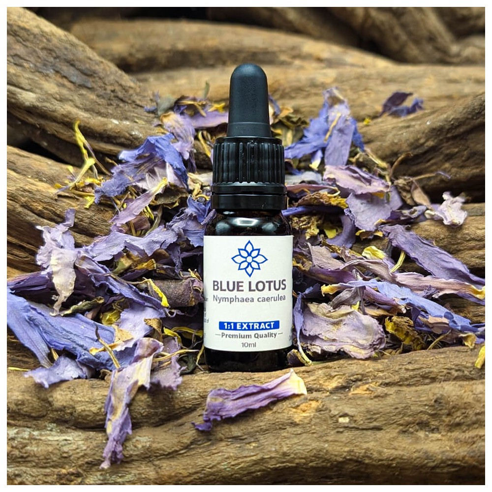 Blue Lotus 1:1 Extract | Alcohol Free