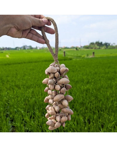 Shamanic Seed Shaker - Kenari