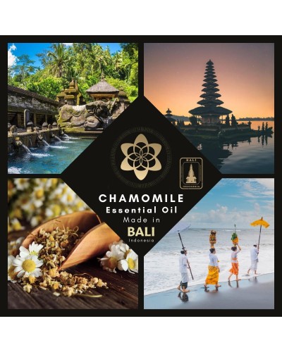 Pure Chamomile - Essential Oil