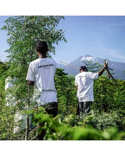 Moringa Leaf - Primitiva Pills (60g)