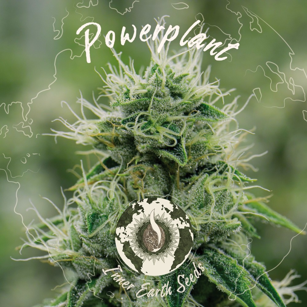 Power Plant Feminized
