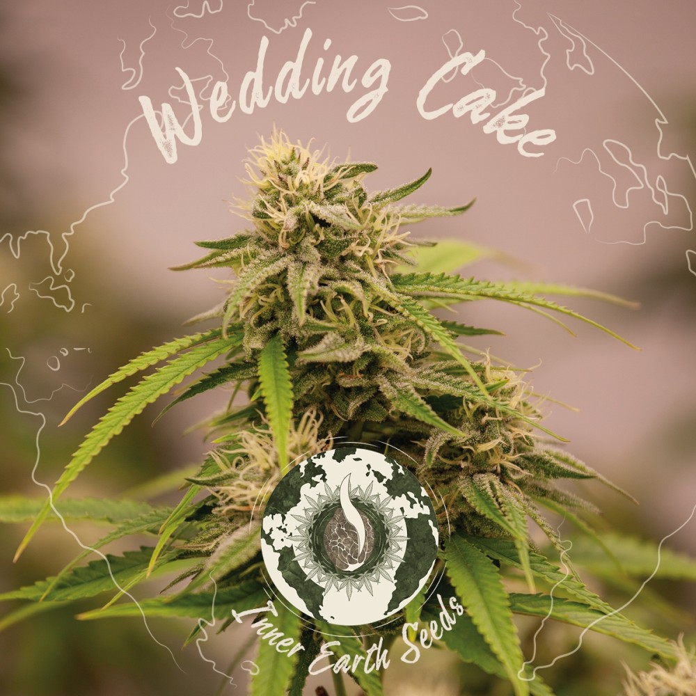 Wedding Cake Feminized