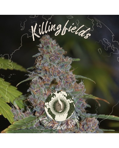 KillingFields Feminized