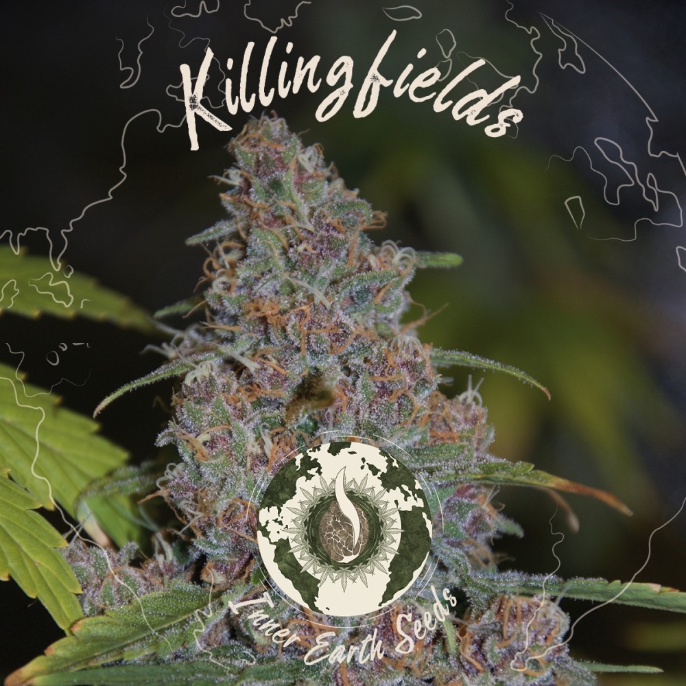 KillingFields Feminized