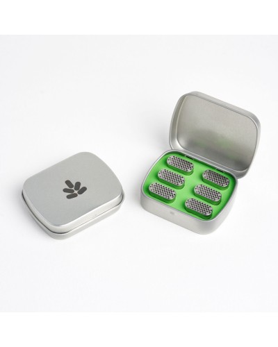 Bud Case Bundle • 6 pack