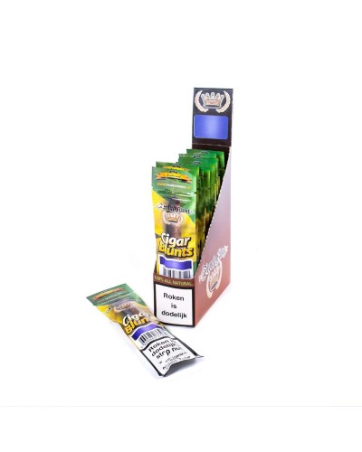 Fronto King Displaydoos 12 • Grape • 2 Cigar Blunts