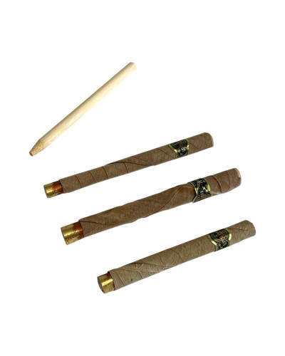 Gold Palms • Amsterdam mix edition