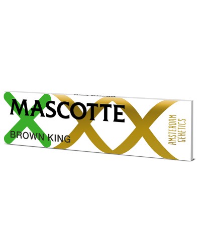 Mascotte Amsterdam Genetics • Brown KS • 50 pcs