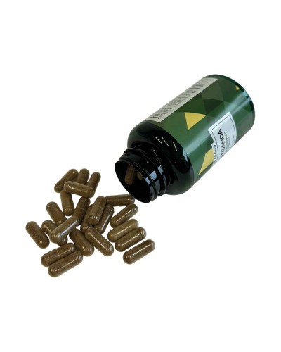 Ashwaganda • 120 capsules