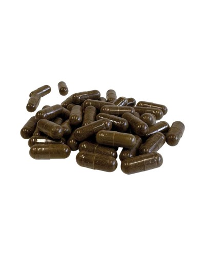 Ashwaganda • 120 capsules
