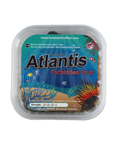 Atlantis • 10 gram