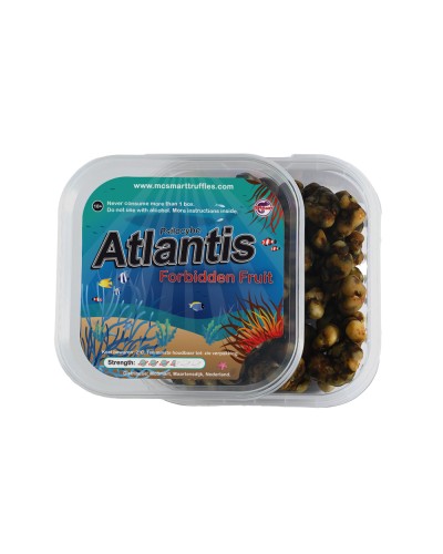 Atlantis • 20 gram