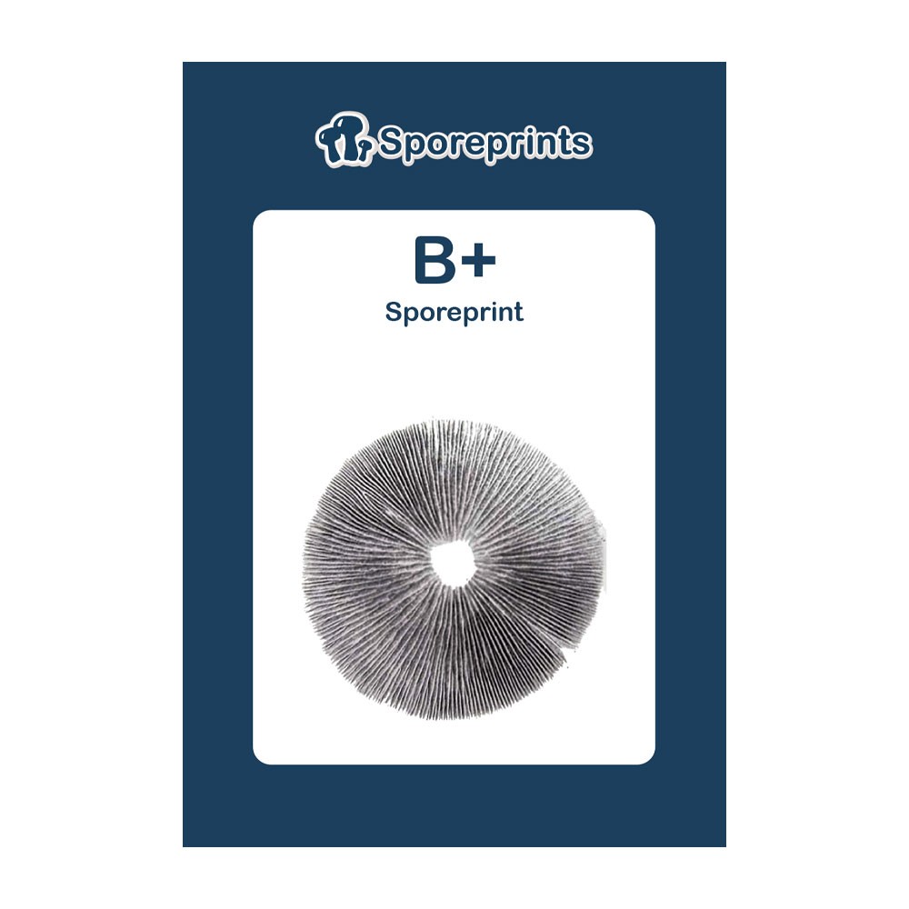 B+ • Sporeprint
