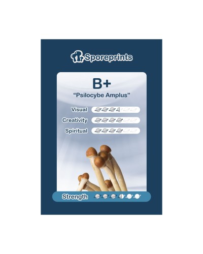 B+ • Sporeprint
