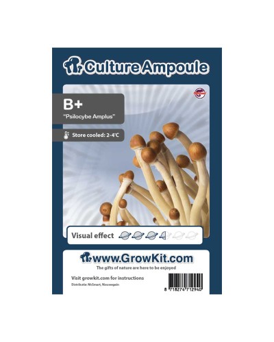 B Plus • Culture Ampoule Set