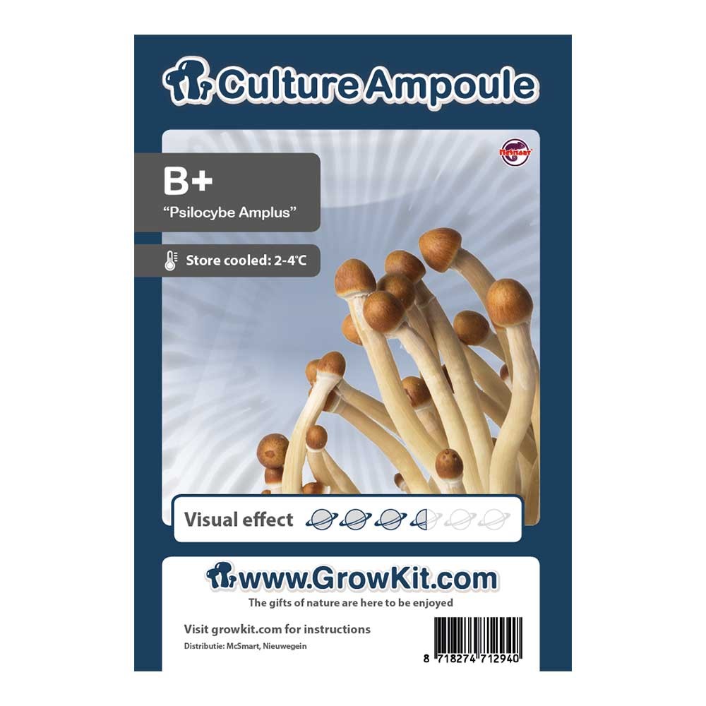 B Plus • Culture Ampoule Set