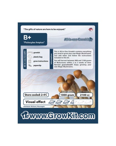 B Plus Growkit • 2100 cc