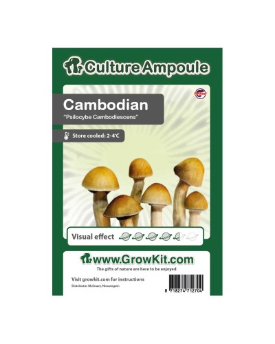 Cambodian • Culture Ampoule Set