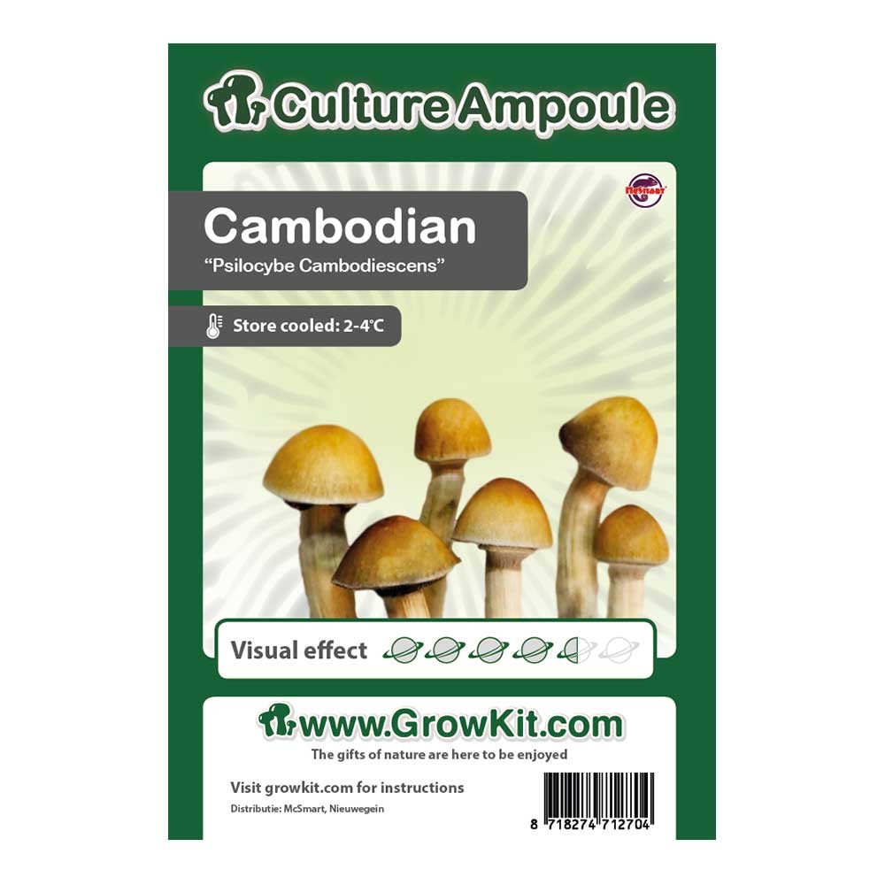 Cambodian • Culture Ampoule Set