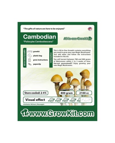 Cambodian Growkit • 2100 cc