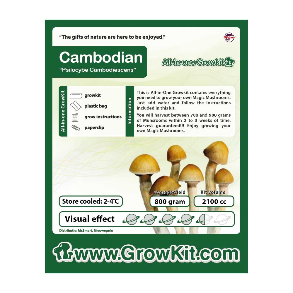 Cambodian Growkit • 2100 cc