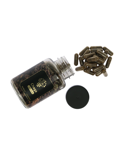 Chaga extract capsules • 120 stuks