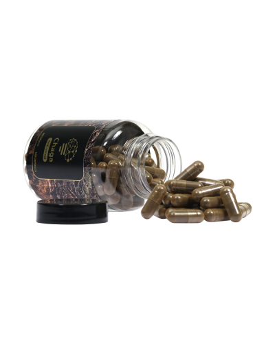 Chaga extract capsules • 120 stuks