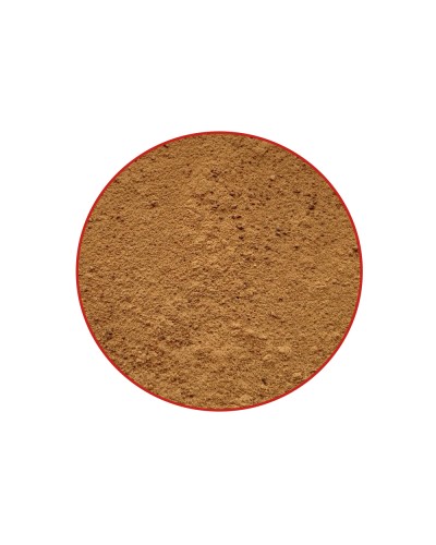 Cola Nut • 60 caps