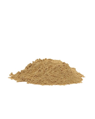 Cordyceps • 100 gram