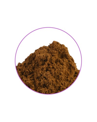 Damiana 10X Extract • 4 gram