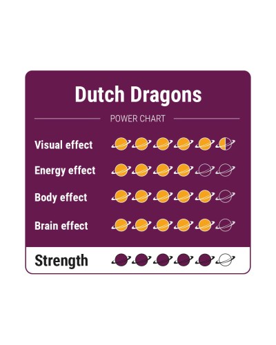 Dutch Dragons • 15 gram