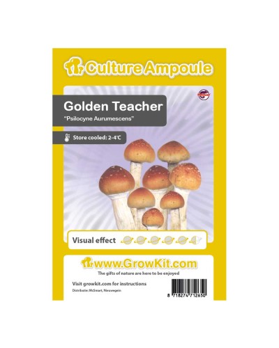 Golden Teacher • Culture Ampoule Set