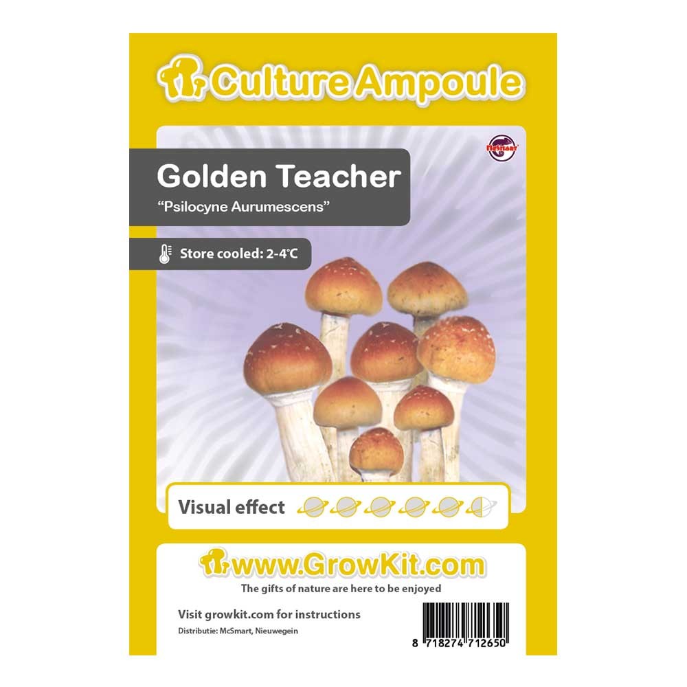 Golden Teacher • Culture Ampoule Set