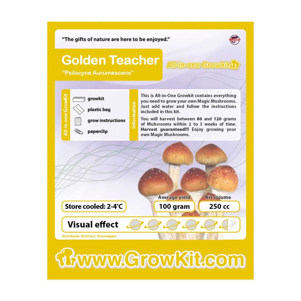 Golden Teacher Growkit • 250 cc
