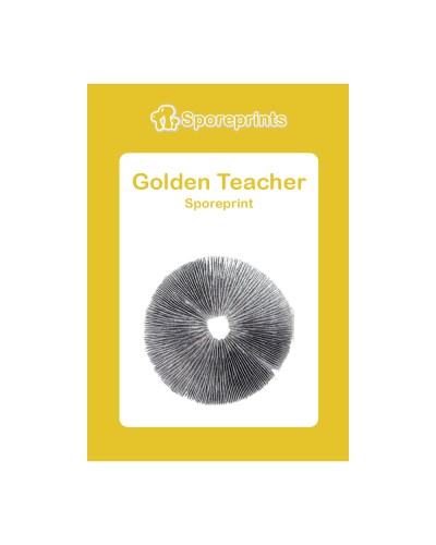 Golden Teacher • Sporeprint