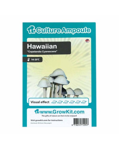 Hawaiian • Culture Ampoule Set