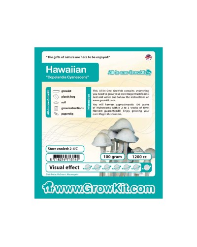 Hawaiian Growkit • 1200 cc • Psilocybe Copelandia