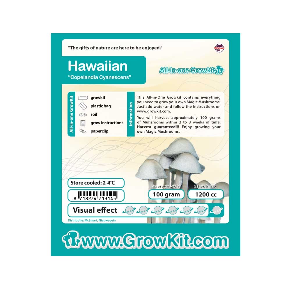 Hawaiian Growkit • 1200 cc • Psilocybe Copelandia