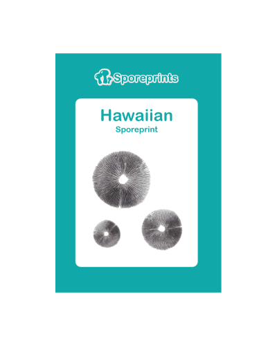 Hawaiian Sporeprint