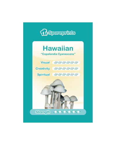 Hawaiian Sporeprint