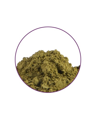 Kratom 20X Extract • 1 gram
