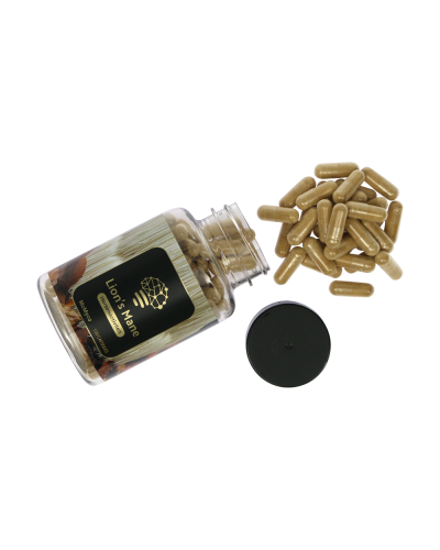 Lion's Mane extract capsules • 120 stuks