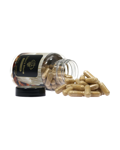 Lion's Mane extract capsules • 120 stuks