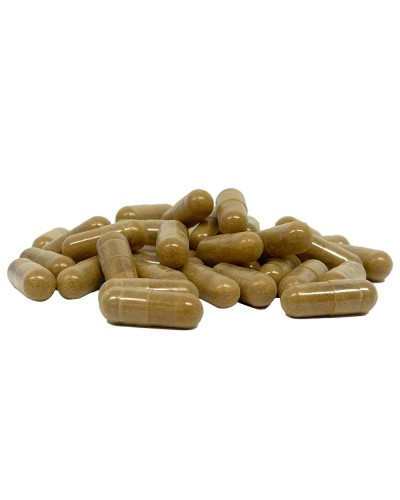 Maitake extract capsules • 120 stuks